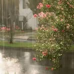 Israt Khan - Facebook