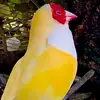 badran issa - @badran.issa - TikTok
