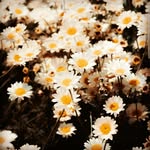 issa__badran - @issa__badran - Instagram