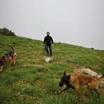 Issam Badran - @issam.n.badran - Instagram
