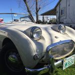 Issa Eismont - @humphreythebugeye - Instagram