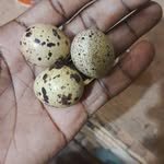 Issa Maiga - @issa.maiga.3323 - Instagram