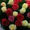 saed i - @saedissa20 - TikTok