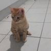 Issac Bailey - @issac.bailey - TikTok