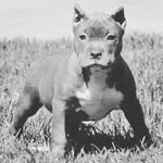 Issac Cano - @issac.cano.167 - Instagram