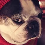 Issac chen - @issacchen0402 - Instagram