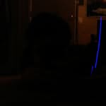 @issac_cook16 - Instagram