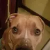 Issac Denson - @issac.denson2 - TikTok