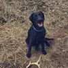 _issac_hamilton - @_issac_hamilton - TikTok