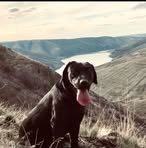 Issac Hamilton - Facebook