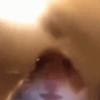 Isaac Hendrix - @isaachendrix7 - TikTok
