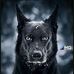 Isaac James - Facebook
