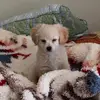 issac - @issac.kim - TikTok