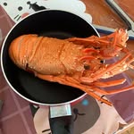 Issac Lam - @issaclam1212 - Instagram