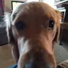 Isaac Logan - @isaac.logan73 - TikTok
