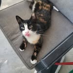 Isaac McCall - @bestcylinder706 - Instagram