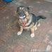 Issac Miranda - Facebook