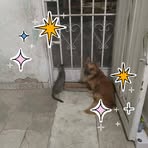 Isaac Mora - Facebook