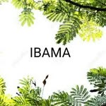 Concurseira IBAMA - @issa_correia19 - Instagram