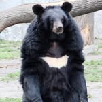 Isaac Patterson - @izzbear12 - Instagram