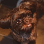 Isaac Perry - @isaacperryphotos - Instagram