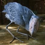 Issac Robles - @issac.heron - Instagram