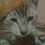 ꧁Issac̶̶ Rocha꧂   😺😺 - @issac.rocha1 - Instagram