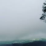 IRF_34 - @issacroykhanroyan - Instagram
