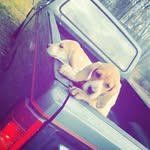 Issac Roberson - @issac_roy_roberson - Instagram