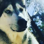 Issac ryan - @issac_ryan902928262527291 - Instagram