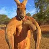 issacryan748 - @issacryan748 - TikTok