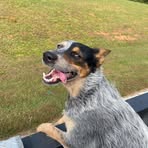 Issac Shaw - Facebook