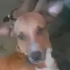 @SóZueira12 - @issacsilva4 - TikTok