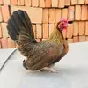 Issac Trejo Aranda - @issac.trejo.arand - TikTok