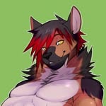 Issac-Wolf - @issac.wolf_ - Instagram