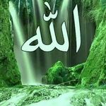 Abdikadar Isse Wehlie Abdi - @abdikadar_isse_wehlie_abdi - Instagram