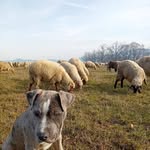Istvan Jakab - @istvaniakab - Instagram