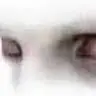 Istvan Polyak - @polyci16 - TikTok