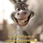 Polyak Istvan - @istvan_polyak - Instagram