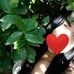 Itzel chavez - Facebook