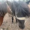 itzel gutierrez - @itzel.gutierrez8 - TikTok