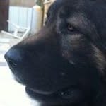Itzik Levy - @itzik5levy - Instagram