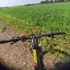lavii - @itziklevy45 - TikTok