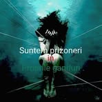 Iulia Iacob-Gradinaru - Facebook