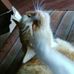 Ivan Campbell - Facebook