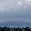 Iva Hampton - @iva.hampton - TikTok