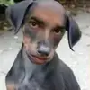 ivanhampton - @ivanhampton3 - TikTok
