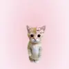 Funnyvideos_100 - @harmonivababyy - TikTok