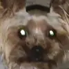 leksandralol - @ivahille - TikTok