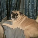 Nathan Iva Hood - @tokensmoken420delivers - Instagram